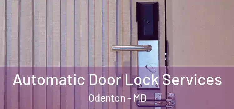  Automatic Door Lock Services Odenton - MD