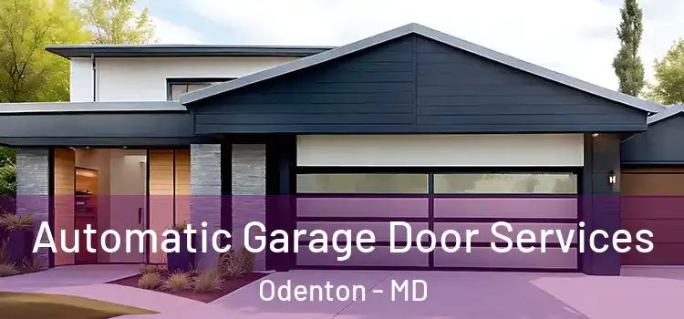  Automatic Garage Door Services Odenton - MD