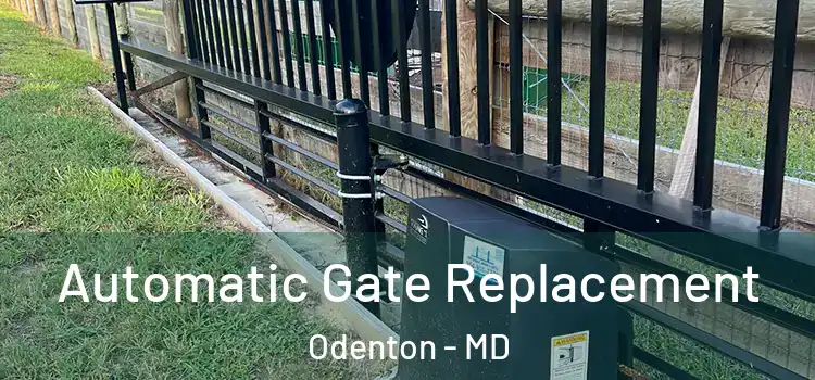  Automatic Gate Replacement Odenton - MD