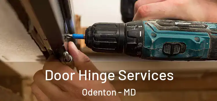  Door Hinge Services Odenton - MD