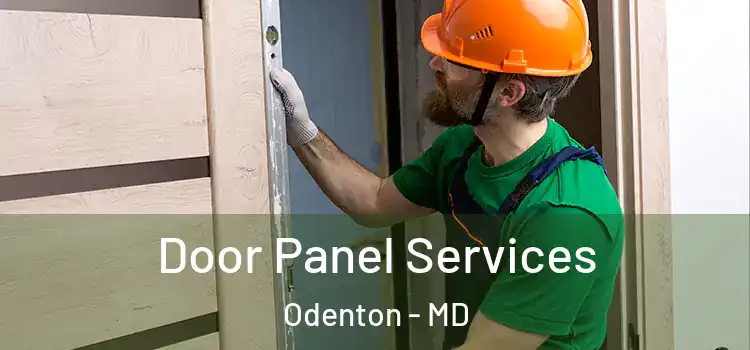  Door Panel Services Odenton - MD