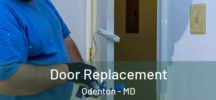  Door Replacement Odenton - MD