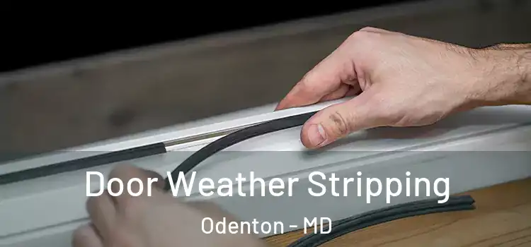  Door Weather Stripping Odenton - MD