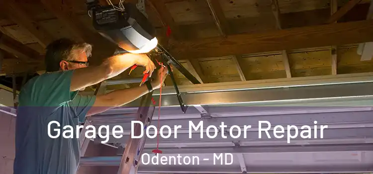  Garage Door Motor Repair Odenton - MD