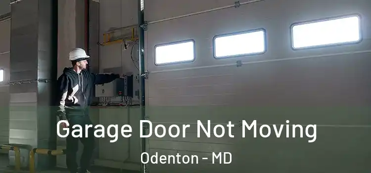  Garage Door Not Moving Odenton - MD