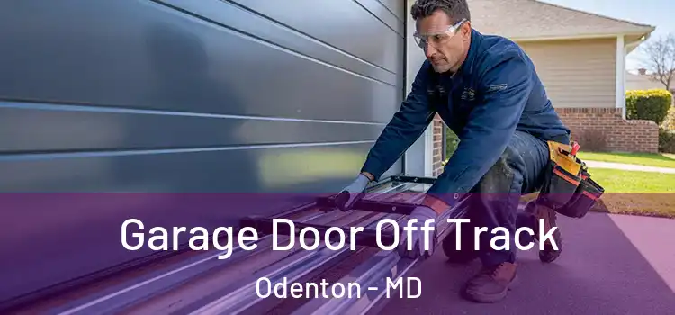  Garage Door Off Track Odenton - MD