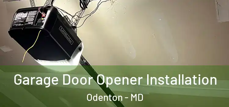  Garage Door Opener Installation Odenton - MD
