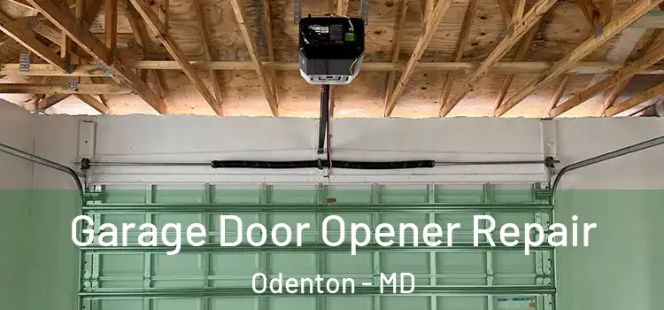  Garage Door Opener Repair Odenton - MD