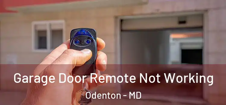  Garage Door Remote Not Working Odenton - MD