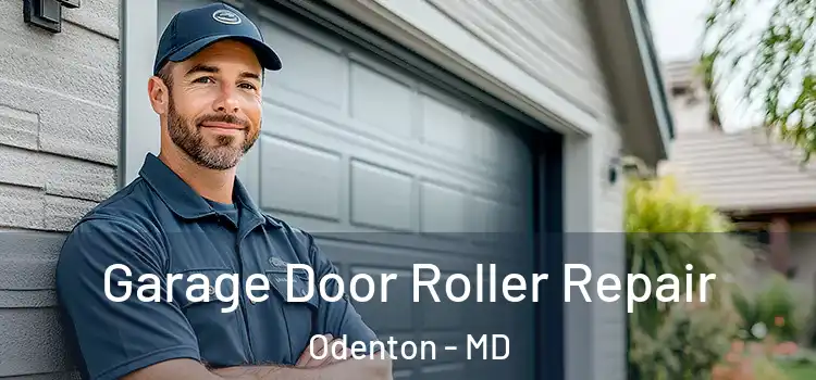  Garage Door Roller Repair Odenton - MD