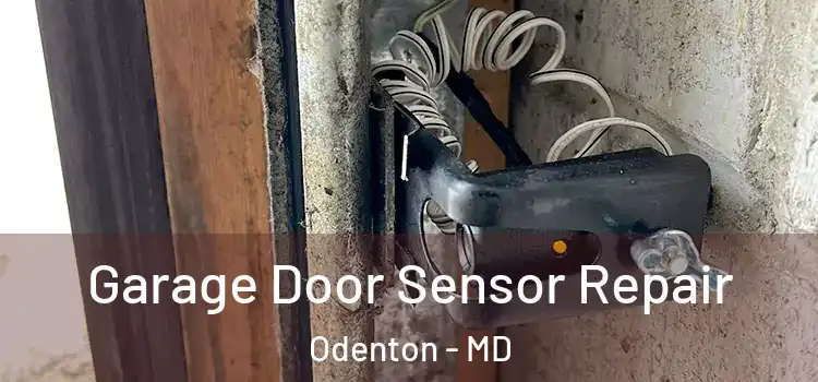 Garage Door Sensor Repair Odenton - MD