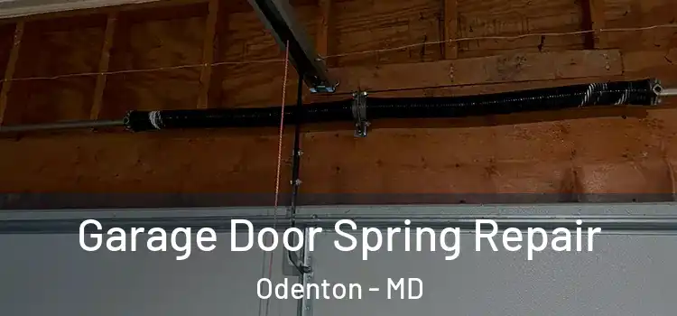  Garage Door Spring Repair Odenton - MD