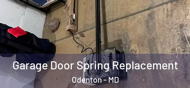  Garage Door Spring Replacement Odenton - MD