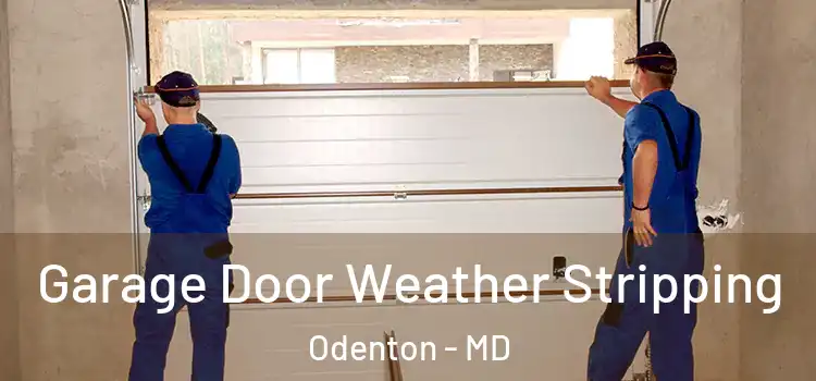  Garage Door Weather Stripping Odenton - MD