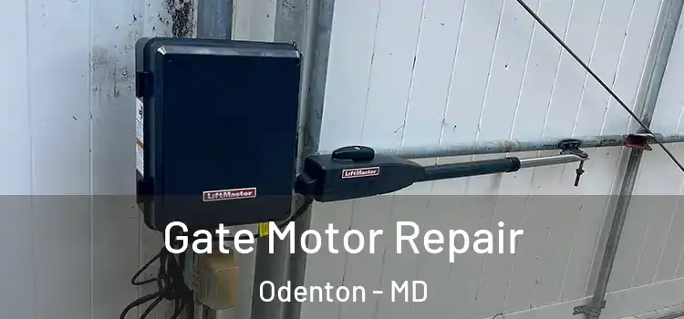  Gate Motor Repair Odenton - MD