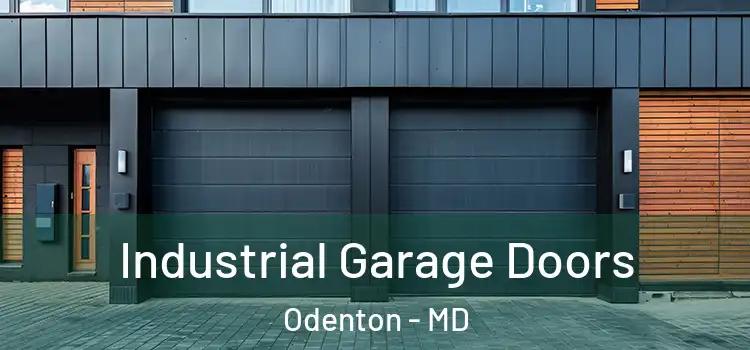  Industrial Garage Doors Odenton - MD