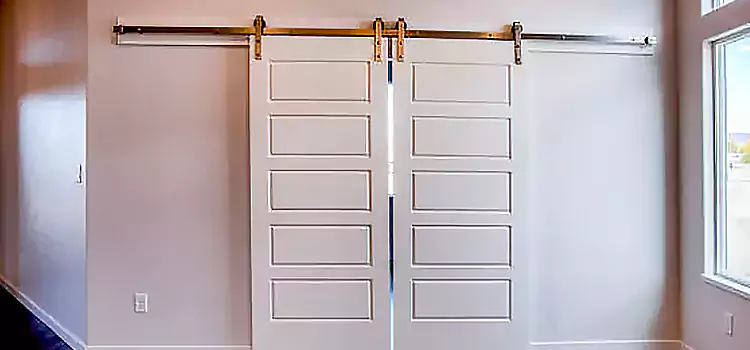 Glass Barn Door with Installation Hardware Kit Odenton