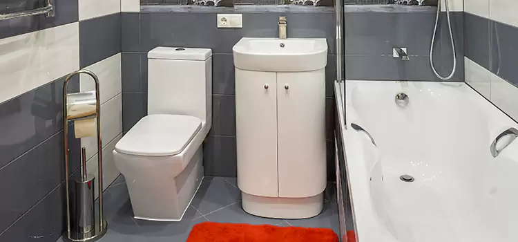 Hansgrohe Shaving Mirror Odenton