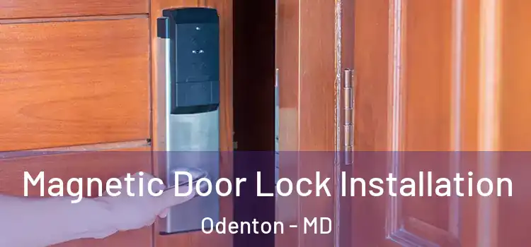  Magnetic Door Lock Installation Odenton - MD