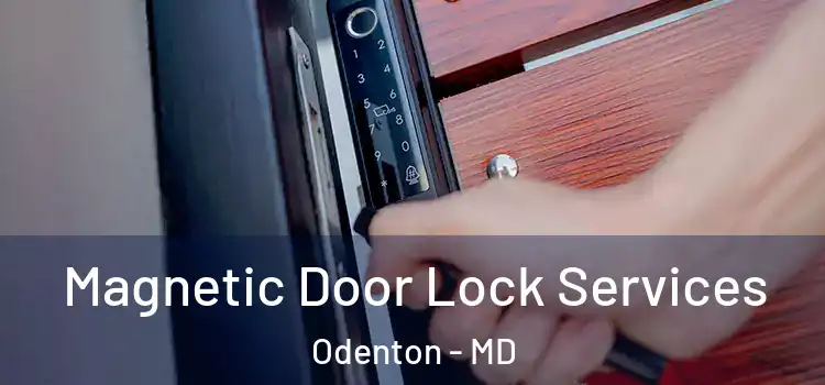  Magnetic Door Lock Services Odenton - MD