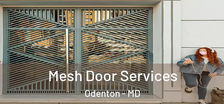 Mesh Door Services Odenton - MD