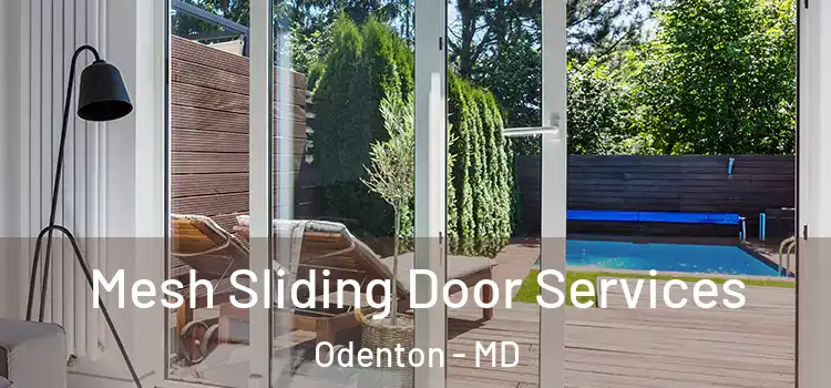 Mesh Sliding Door Services Odenton - MD