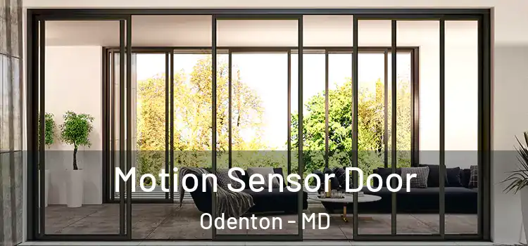  Motion Sensor Door Odenton - MD
