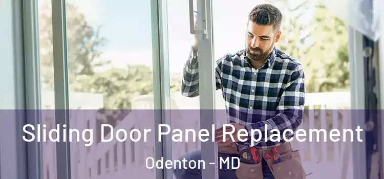  Sliding Door Panel Replacement Odenton - MD