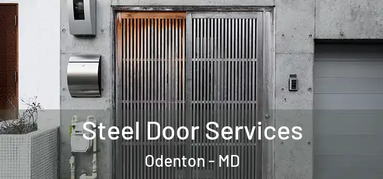 Steel Door Services Odenton - MD